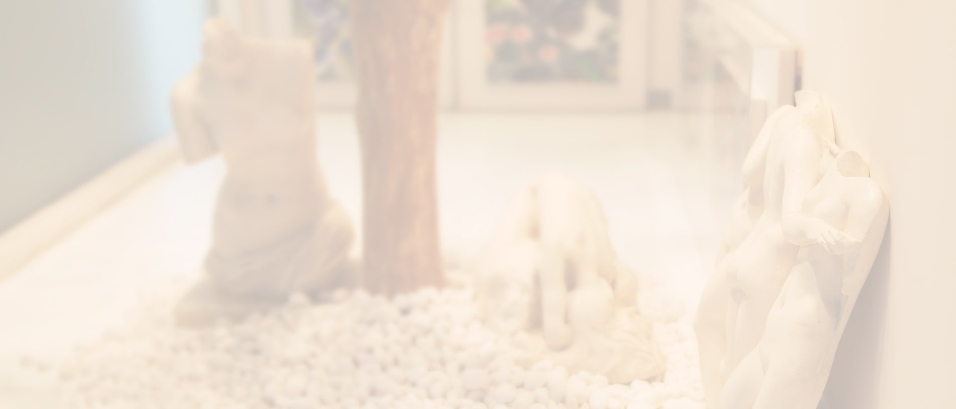 VIP Plastic Surgery (Jeju)