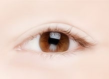 Steps for Incision Double Eyelid Surgery Method