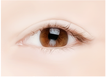 Steps for Lower Eyelid Surgery Method