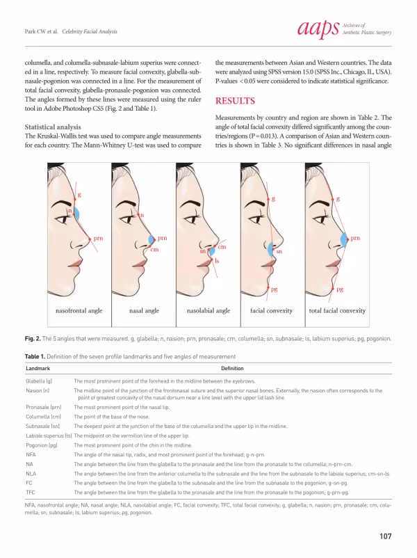 Dr. Lee and Dr. Park as analyzed celebrities' facial features